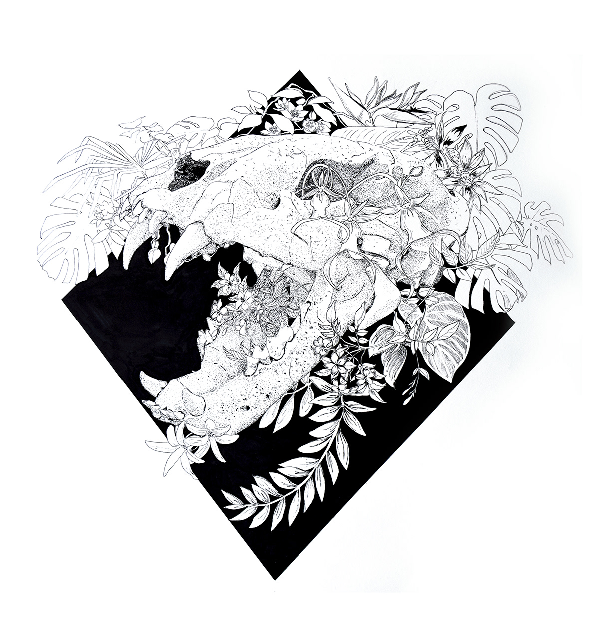 Drawing  ILLUSTRATION  ink illustration art inktober black and white illustration art pen and ink florals Flowers