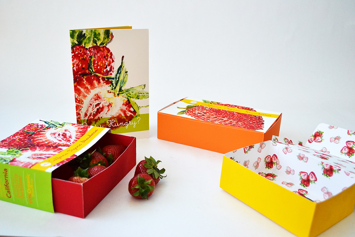 visual system identity re-design packaging design