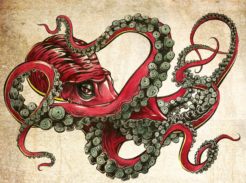 octopus animal sea tattoo arms red pink ink jilipollo puyou