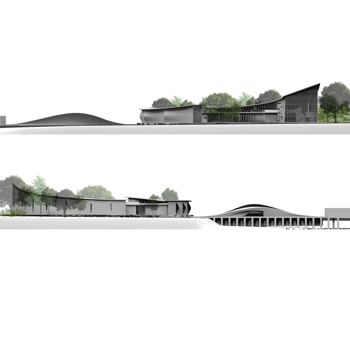 revit Rhino 3D oceanic research facility Bluffton south carolina studio buildings curved Curvalinear wetland Nature