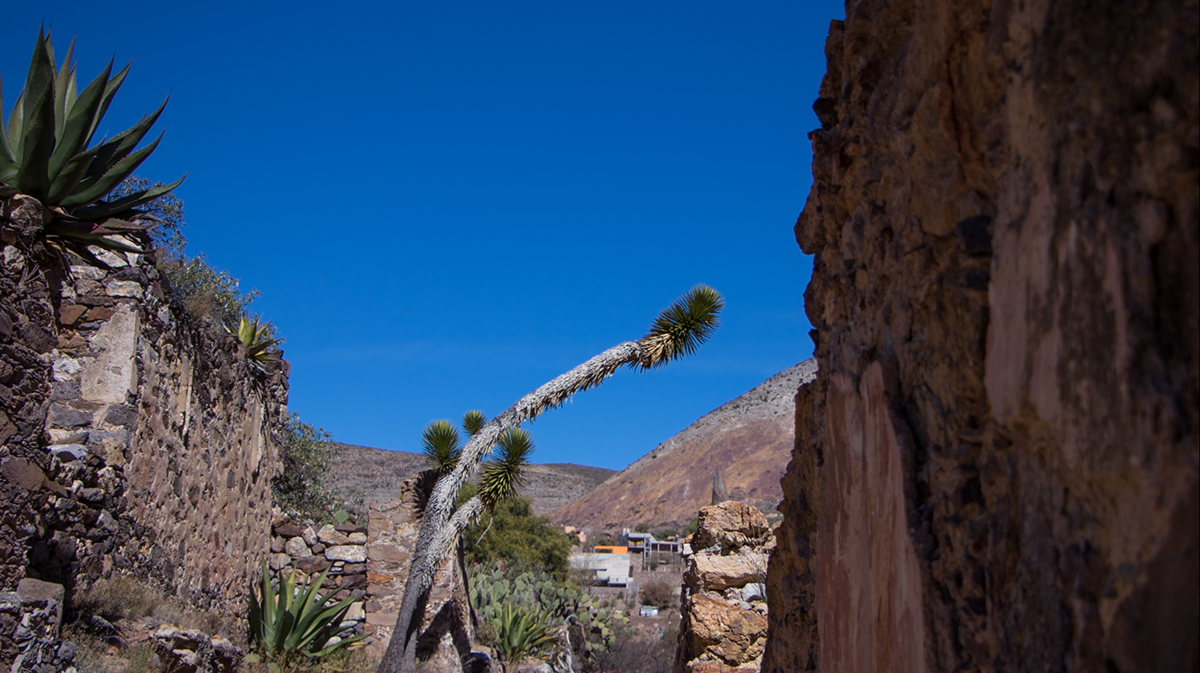 real de catorce mexico Travel ruins desert