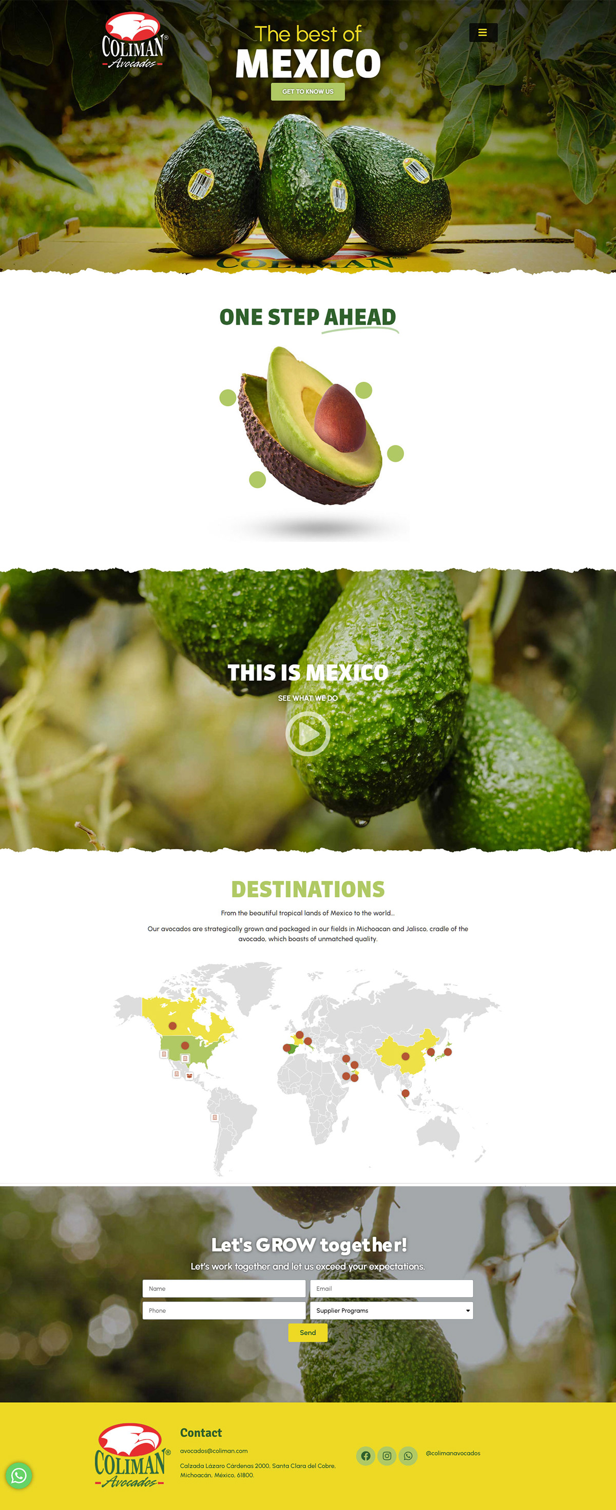 Avocados avocados from mexico interactive design web animation Web Design 