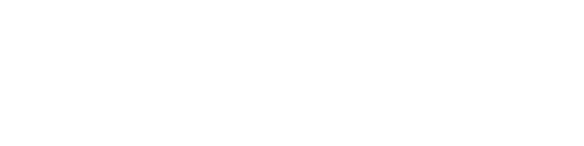 logo Logo Design branding  conference branding Web Summit