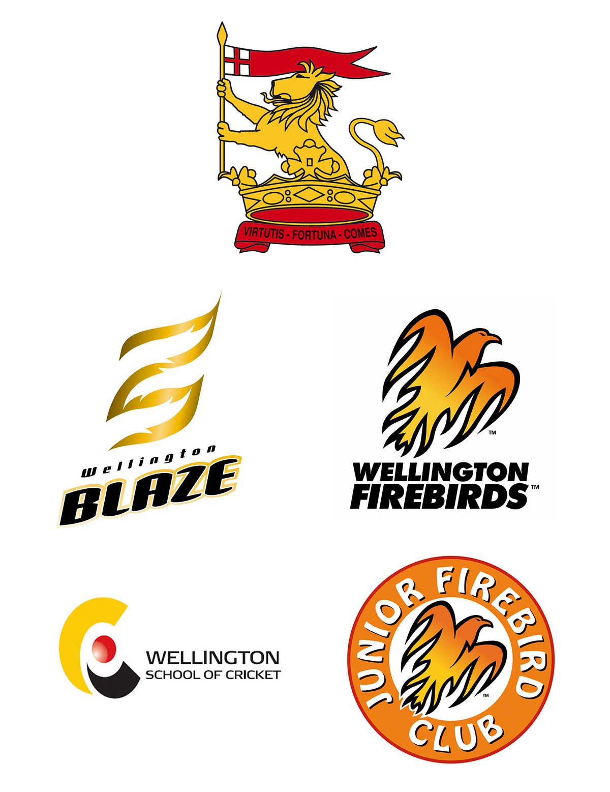 Cricket summer slow Desaturated Booklet video logo crest heraldry New Zealand wellington
