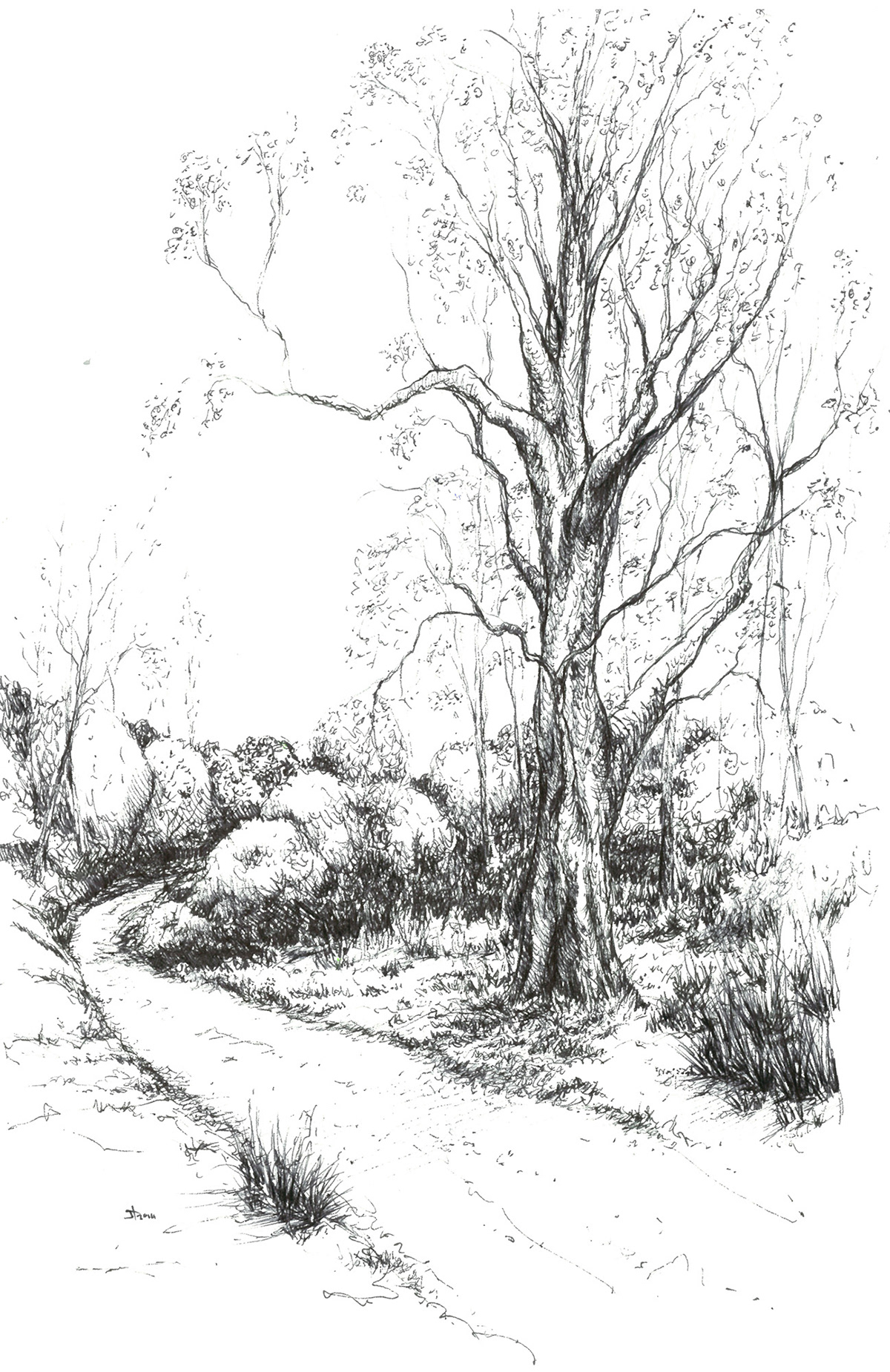 ink samford bush paths trees river