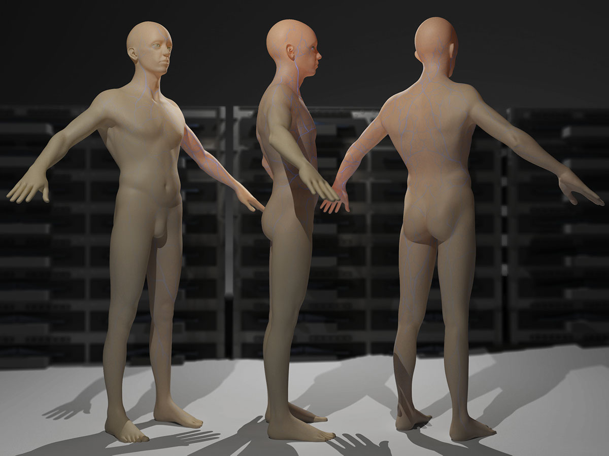 Computer 3D modeling 3d modeling texturing figure Wires veins Subsurface Scattering 3ds max mental ray self portrait