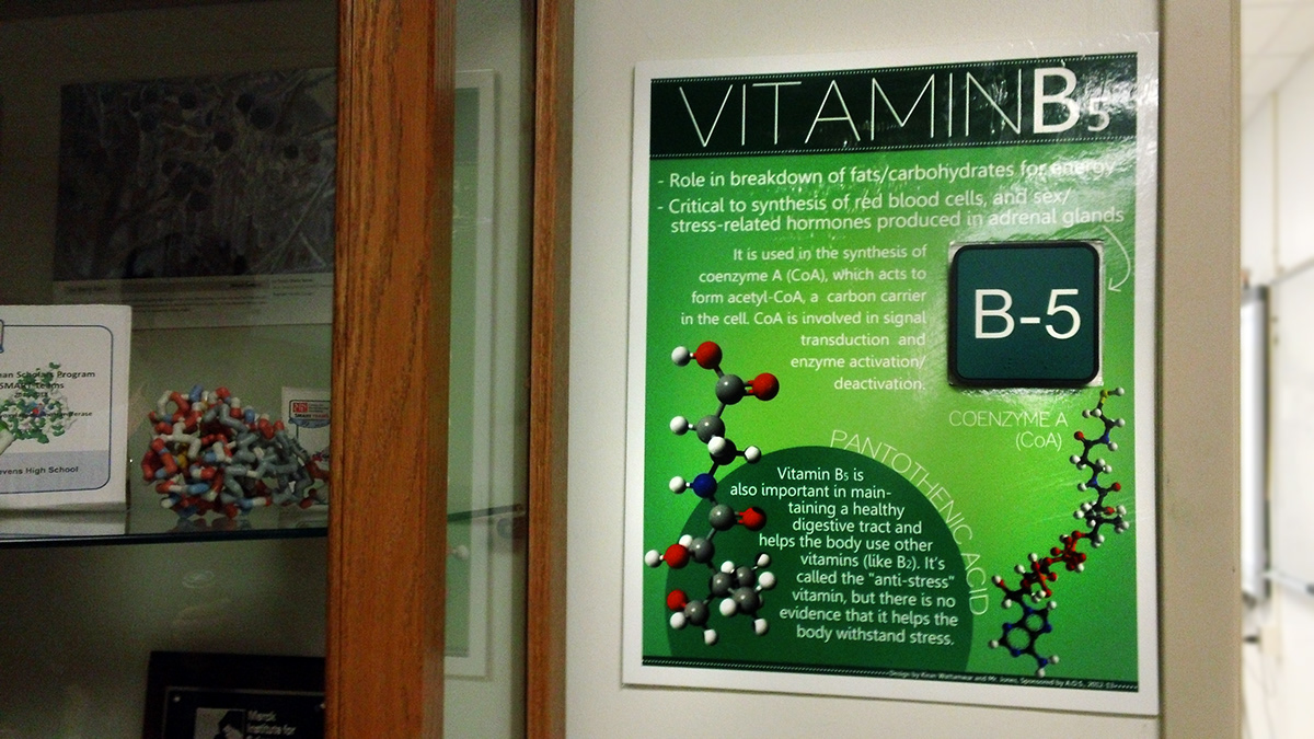 vitamin  project  science  posters b12 B1  B3  B5  B7  B2  layout  design High School