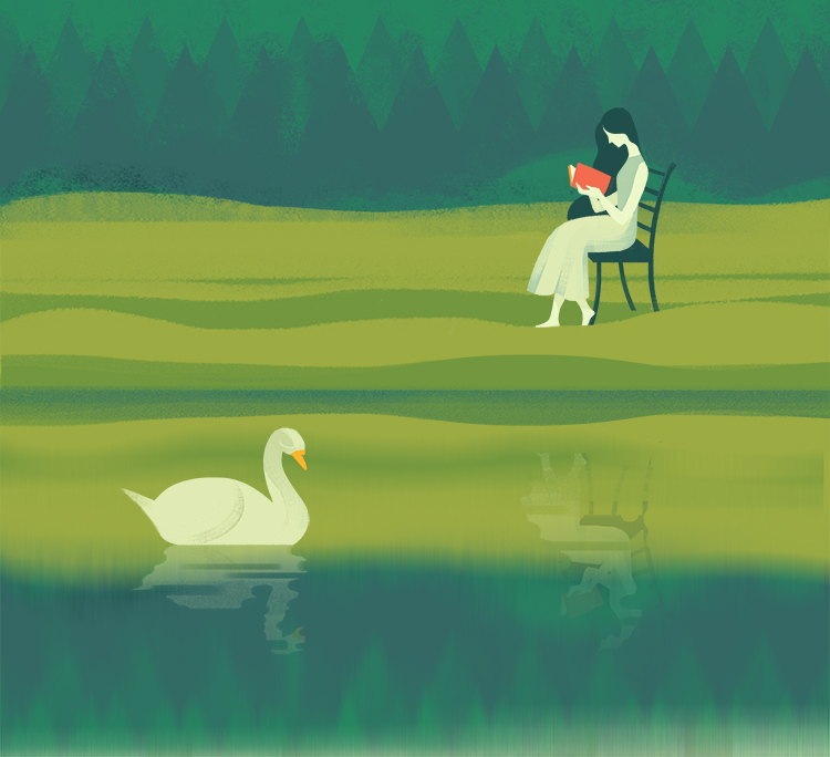 read girl lake swan shadow