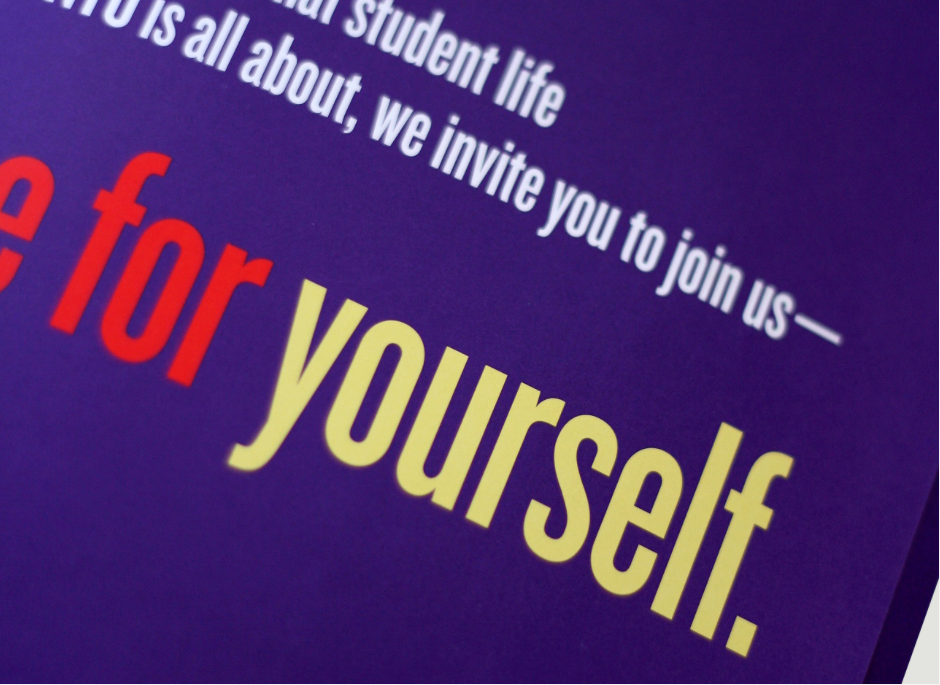 admission brochures University folder design print design  graphic design  Layout typography   recruitment announcement