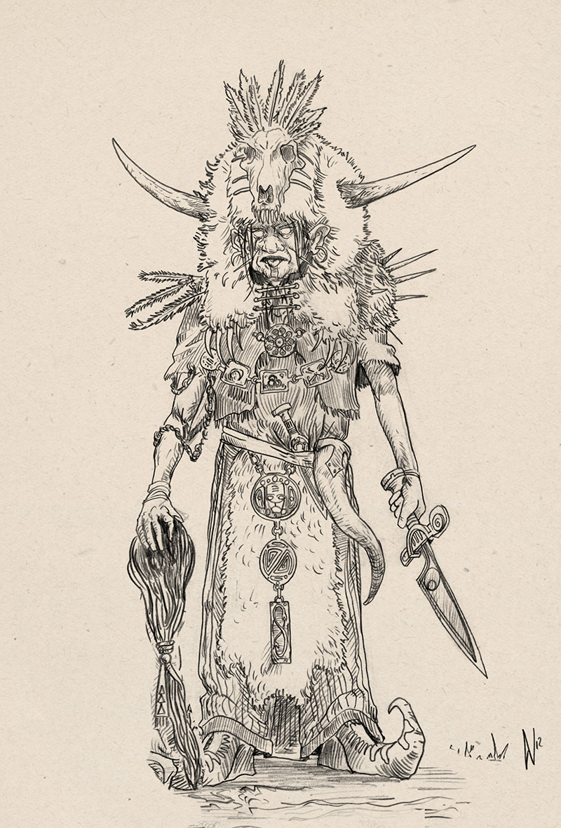 shaman wicked medieval Ancient Character concept art stone age fantasy dnd DSA rpg pen and paper Native priest human sacrifice