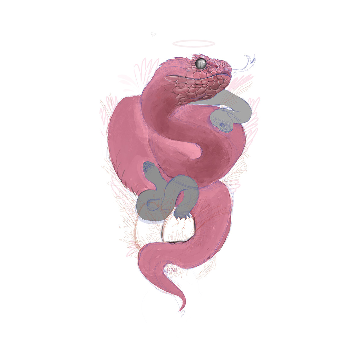 snake digital painting pink Viper snakes mother cute realistic reailsm ILLUSTRATION 