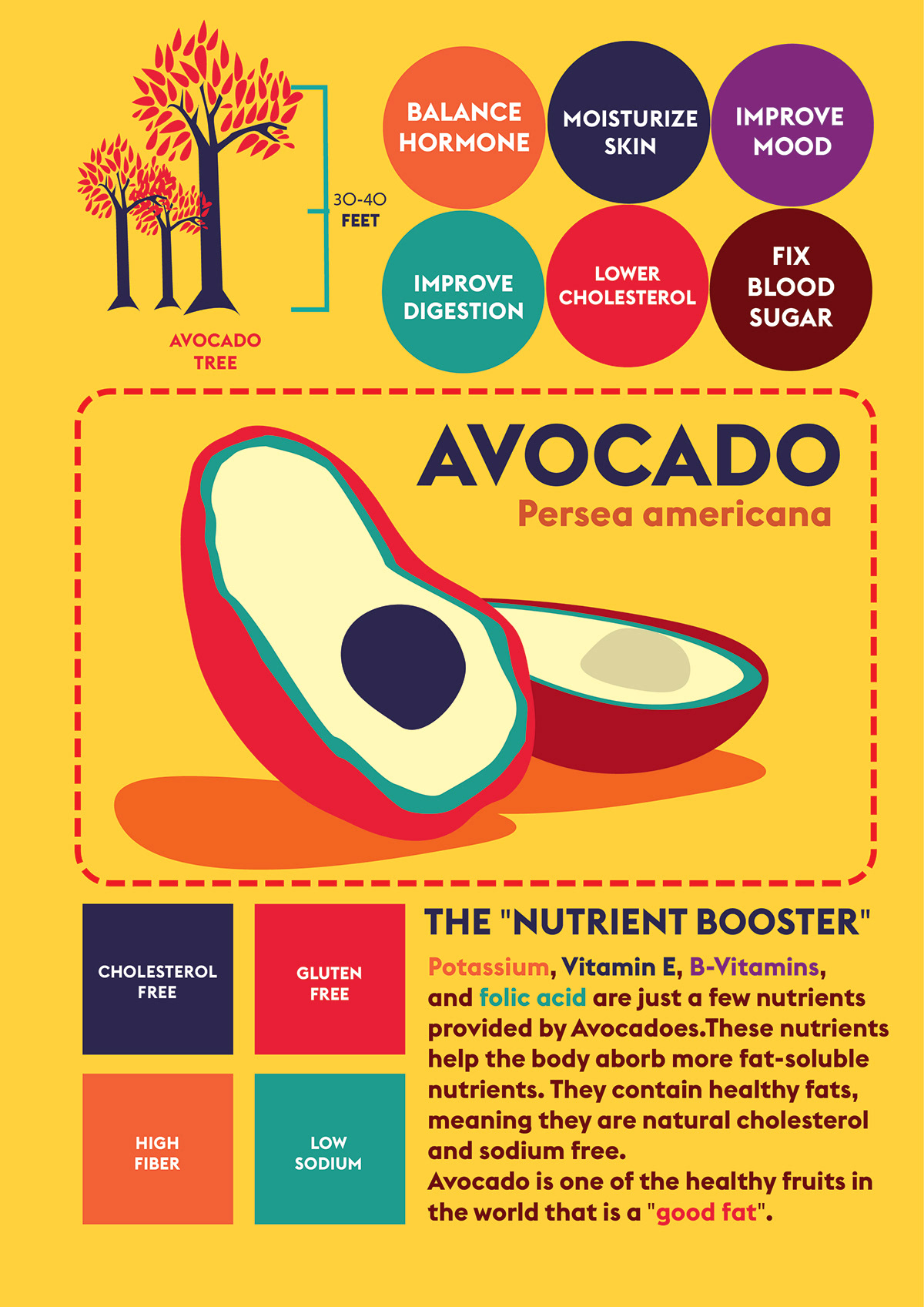 infographic Poster Design Illustrator color schemes flat design euclid minimalist avocado