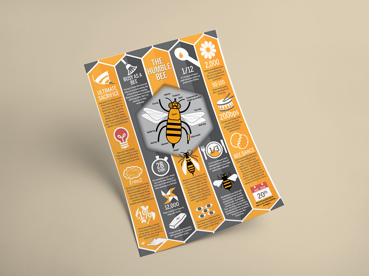 infographic honey honey bees New Zealand educational