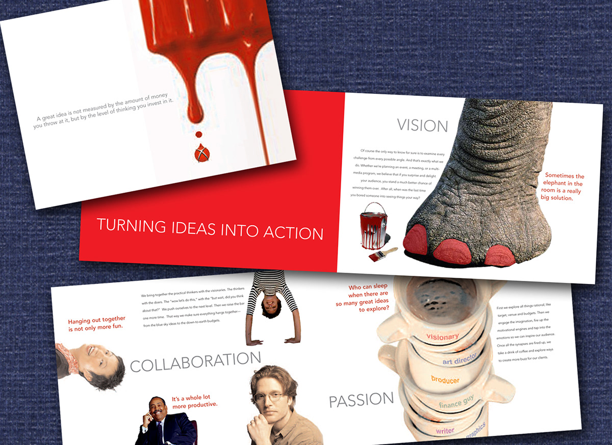 brochures  campaigns illustrations Layout Design