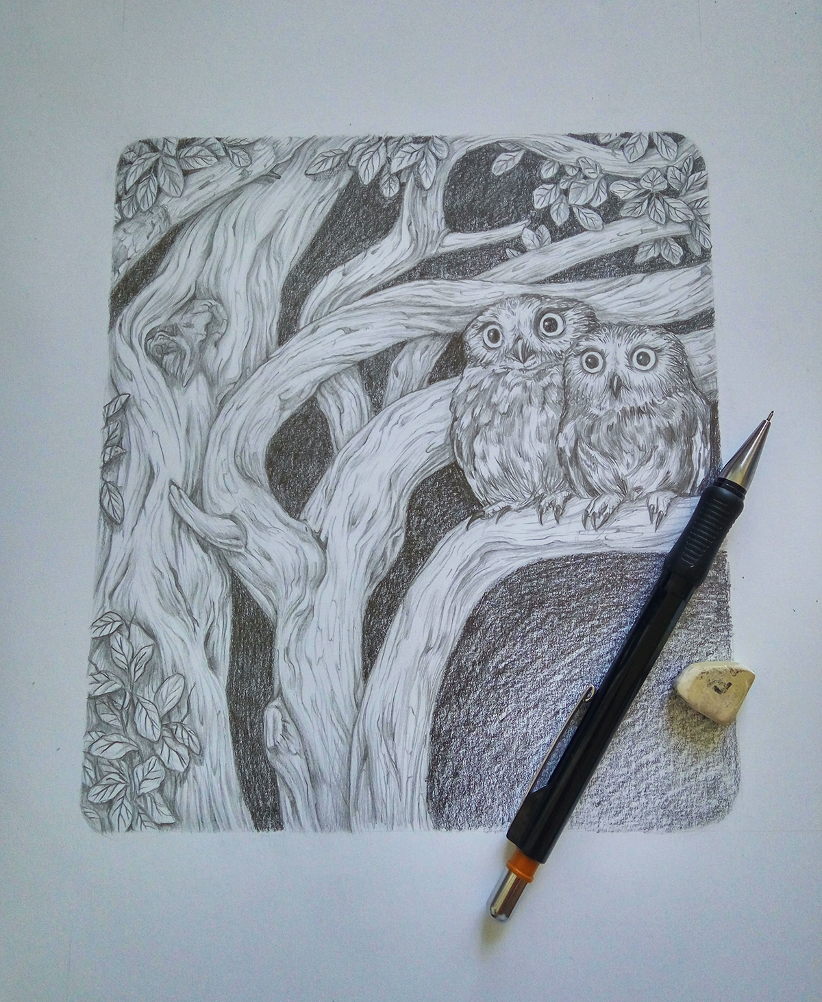 owl pencil Drawing  Nature trees art