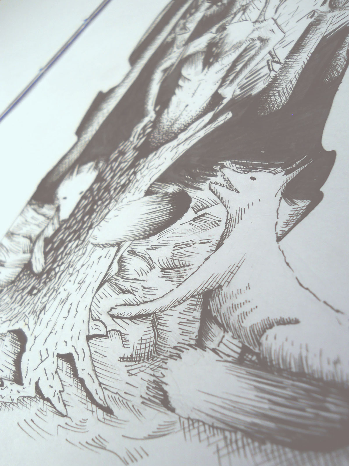 ilustracion bosque FOX forest ZORROS Tree 