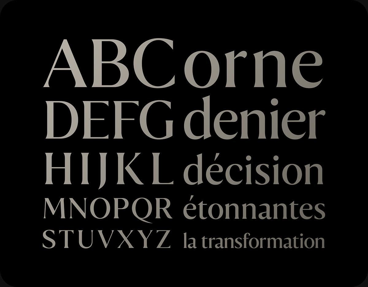 design font font design glyphs graphic design  logo serif type design Typeface typography  