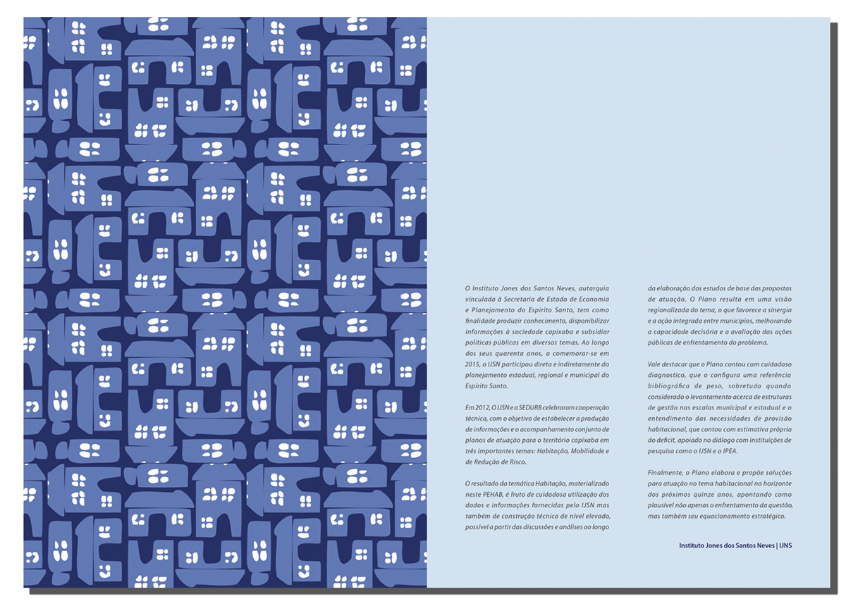 editorial book product print InDesign Illustrator graphic Brazil espírito santo porto alegre a4 Relatório report PEHAB 2030 publishing  