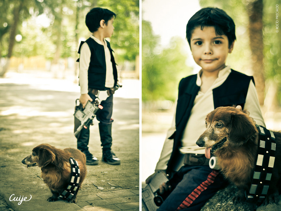 star wars cute Chewbacca dachshund Han Solo Cosplay