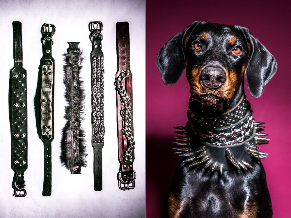 doberman dog collar leather Studded hot pink dog fashion dog