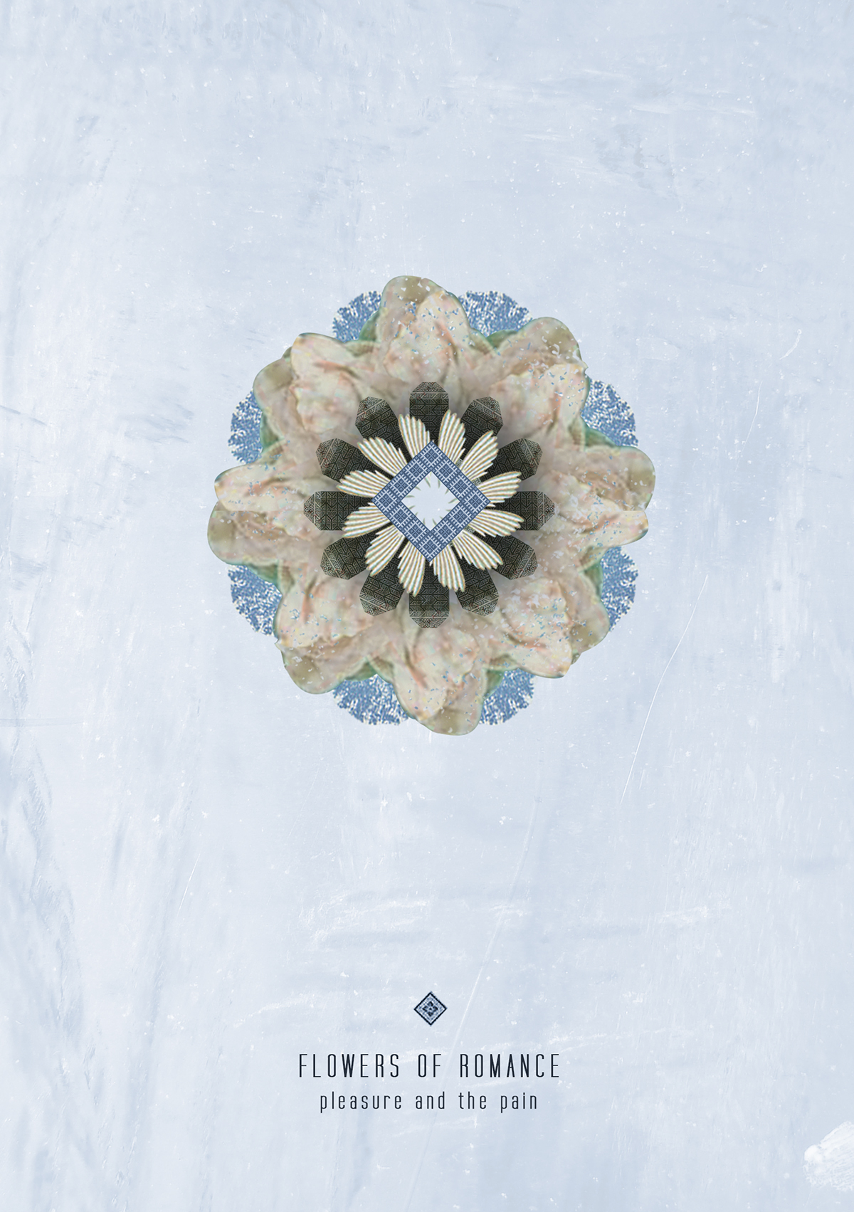 Adobe Portfolio poster flower Album graphic Banknote