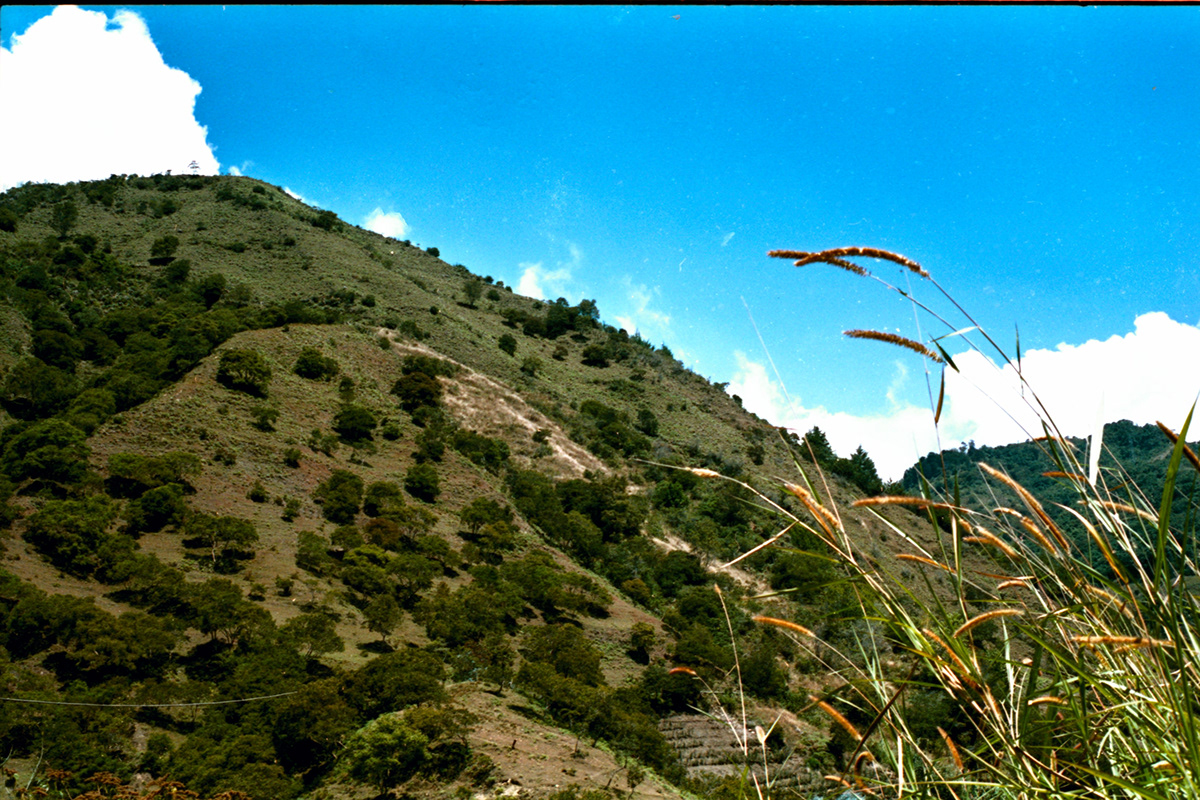 mérida Andes venezuela maracaibo cross process Xpro 35mm Lomography analogue photography mountains