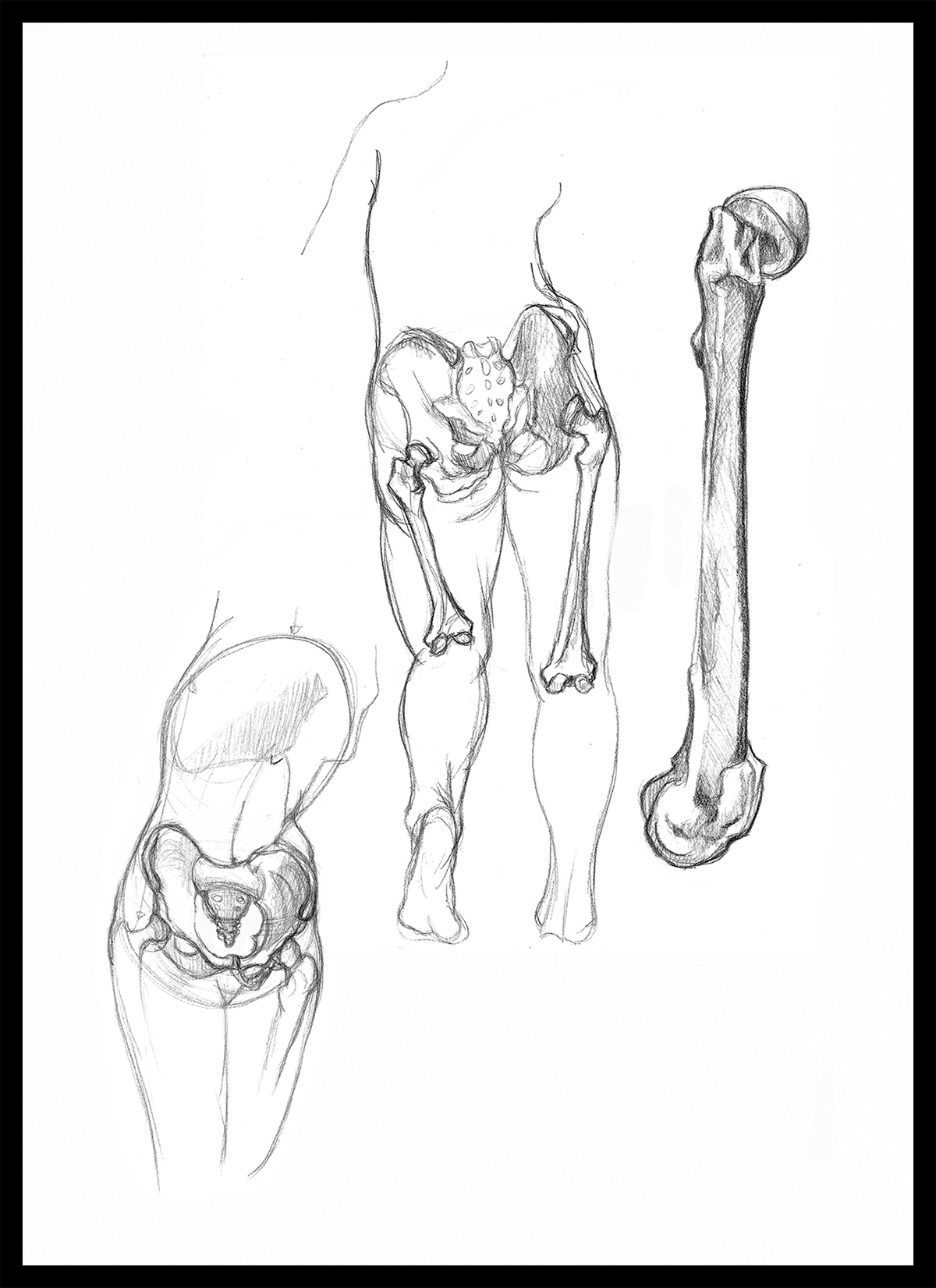 anatomia Sesiones de dibujo Poses dibujo rápido Figura