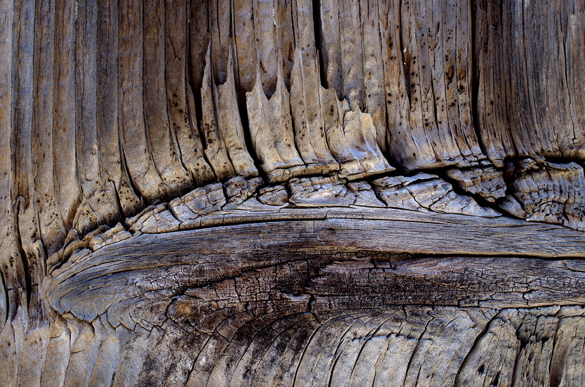 Holz wood