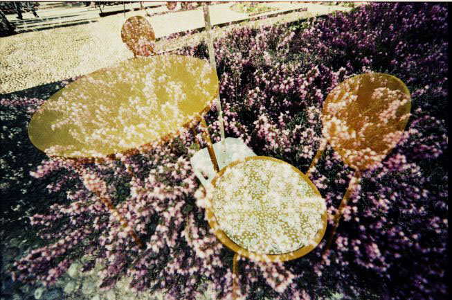Analogue  Multiple Exposure psychedelica