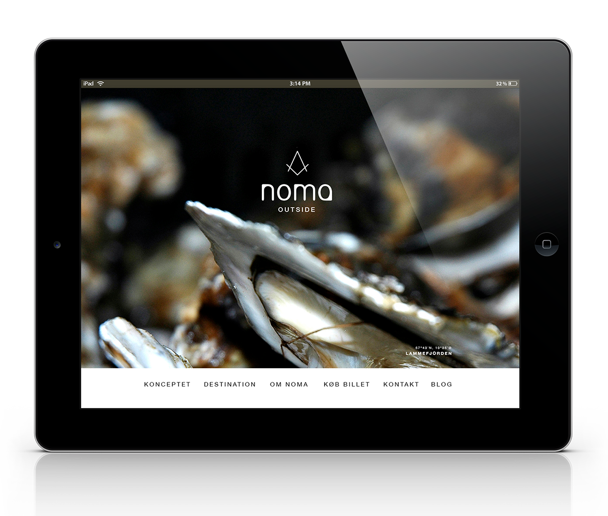 Webdesign  branding  Interaction Design  FOOD  Noma  outside restaurant  danish cuisine commodities compas  Destination Rene Redzepi  chef Nature