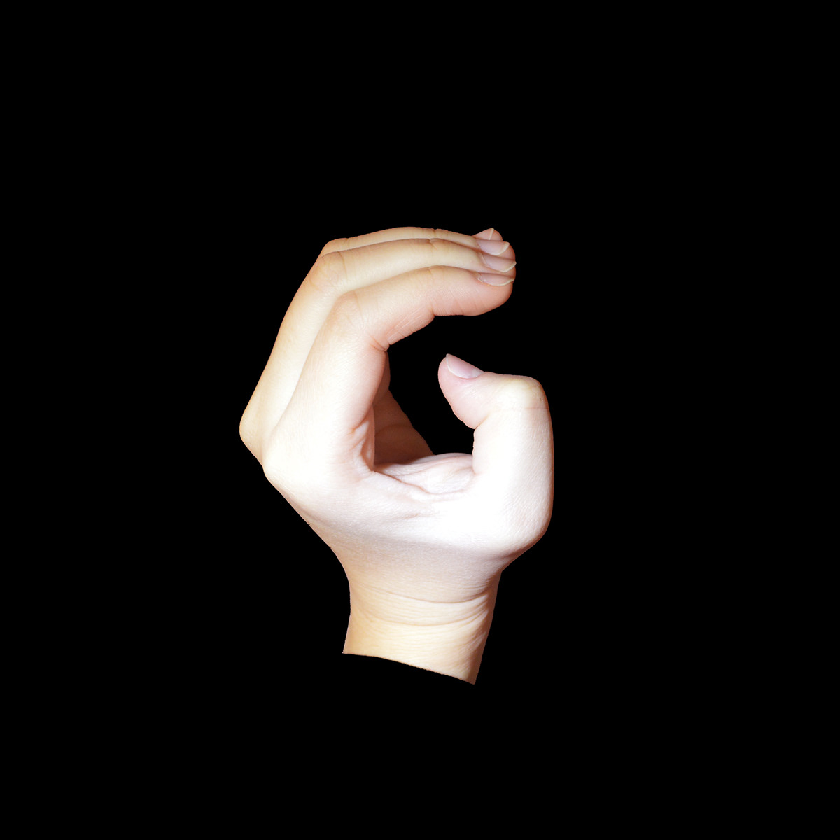 hand gestures kungfu alphabet