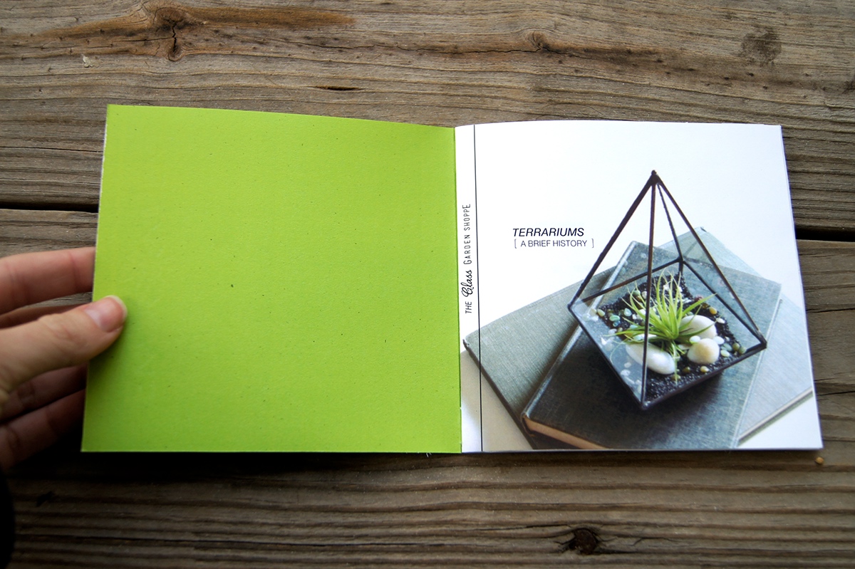 glass garden Book Series green terrarium