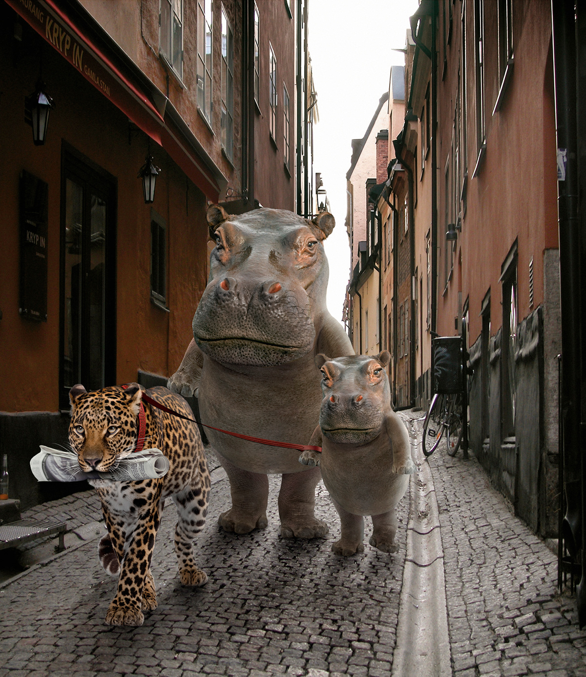 Imaging animals creative retouch manipulation