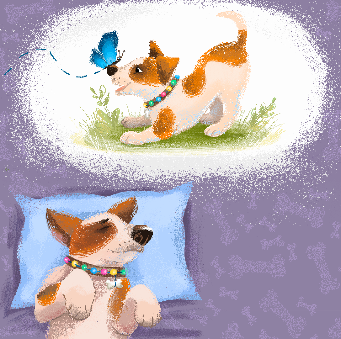 kidlit Picture book Jack Russell sweet dreams