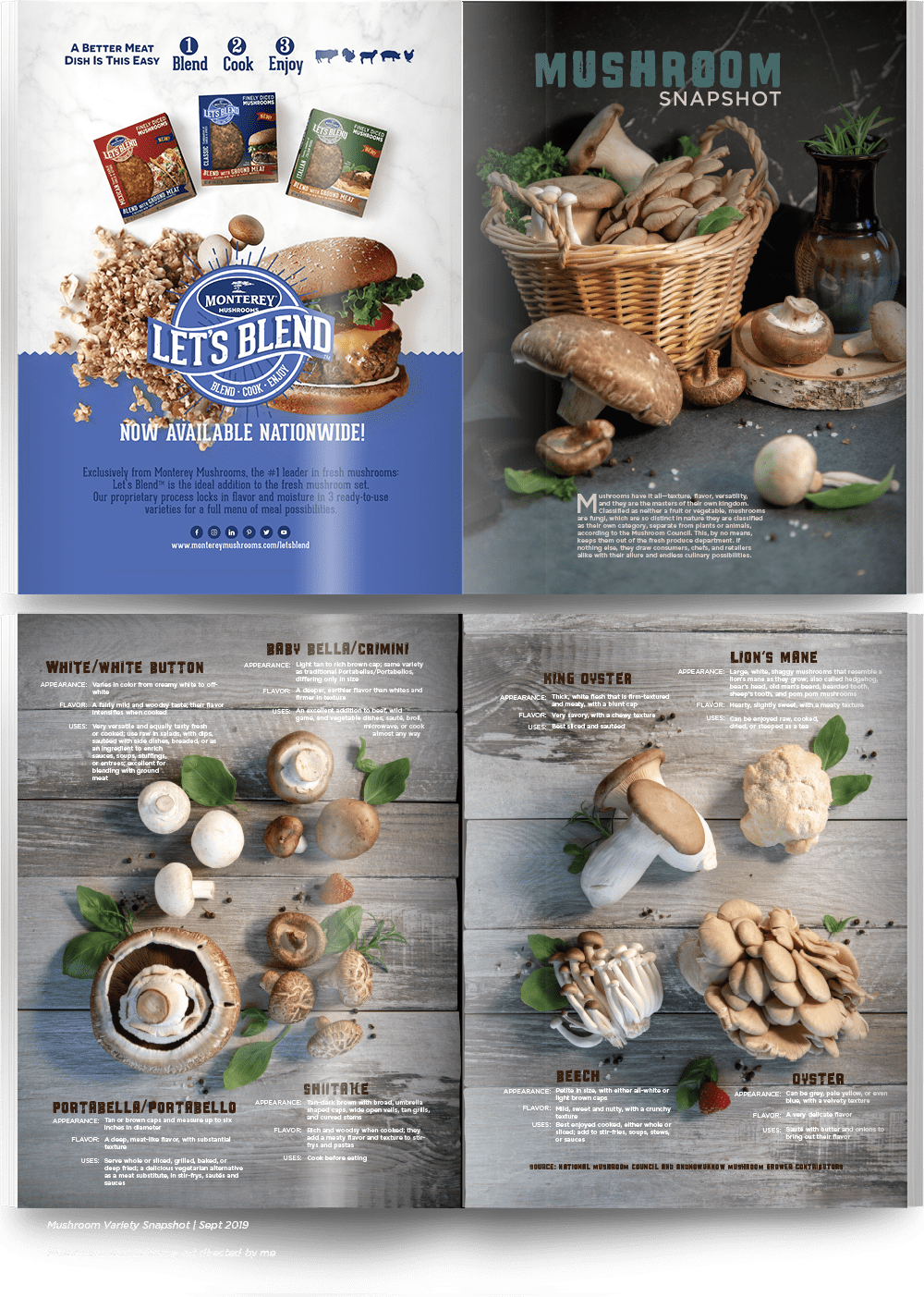 magazine Layout editorial design  produce industry business to business art direction 