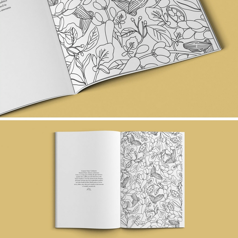 ILLUSTRATION  Patterns publishing   adult colouring book color lines Nature print Flora indian