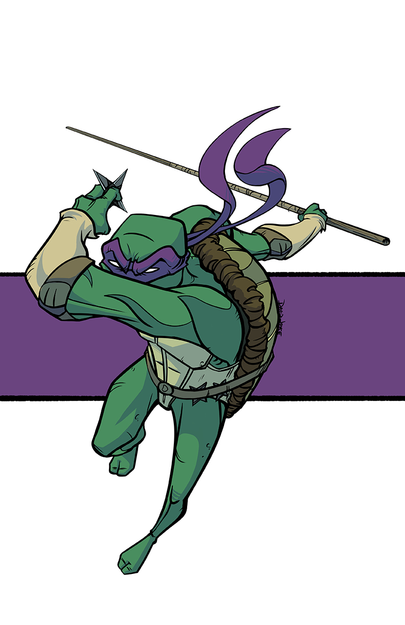 teenage mutant ninja Turtles  TMNT Ninja Turtles print raph raphael don Donatello Leo Leonardo mike mikey Michelangelo