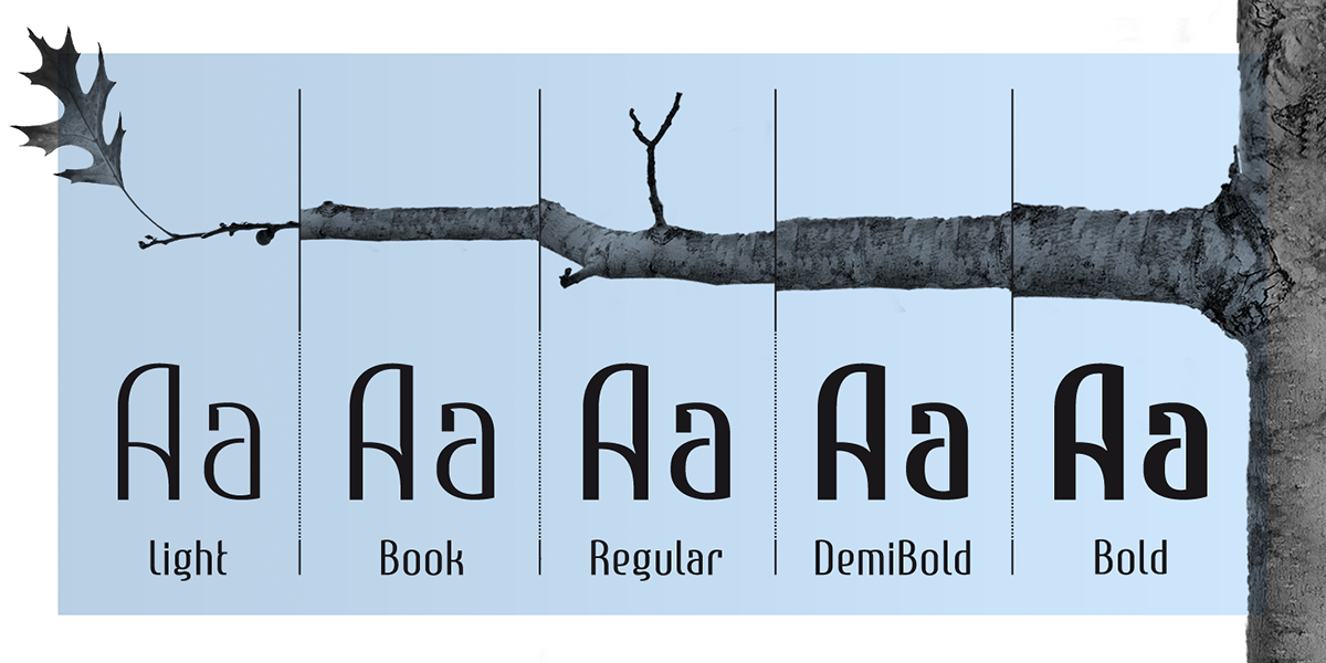 Typeface font type-family Cyrillic sans-serif semi-serif bulgarian clean elegant modern legible rounded MyFonts
