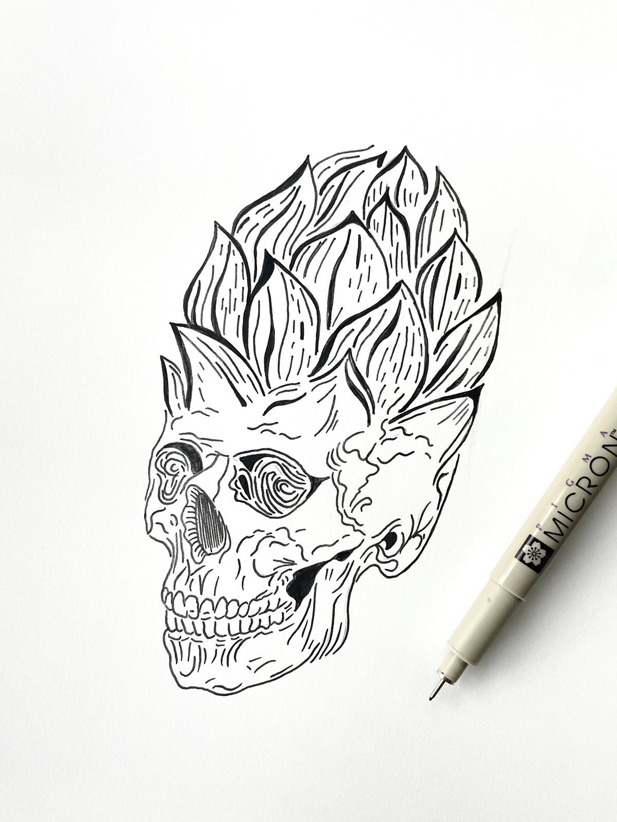 Illustration of skull and hop. Tattoo idea for beer lovers. Lowbrow dark art. 