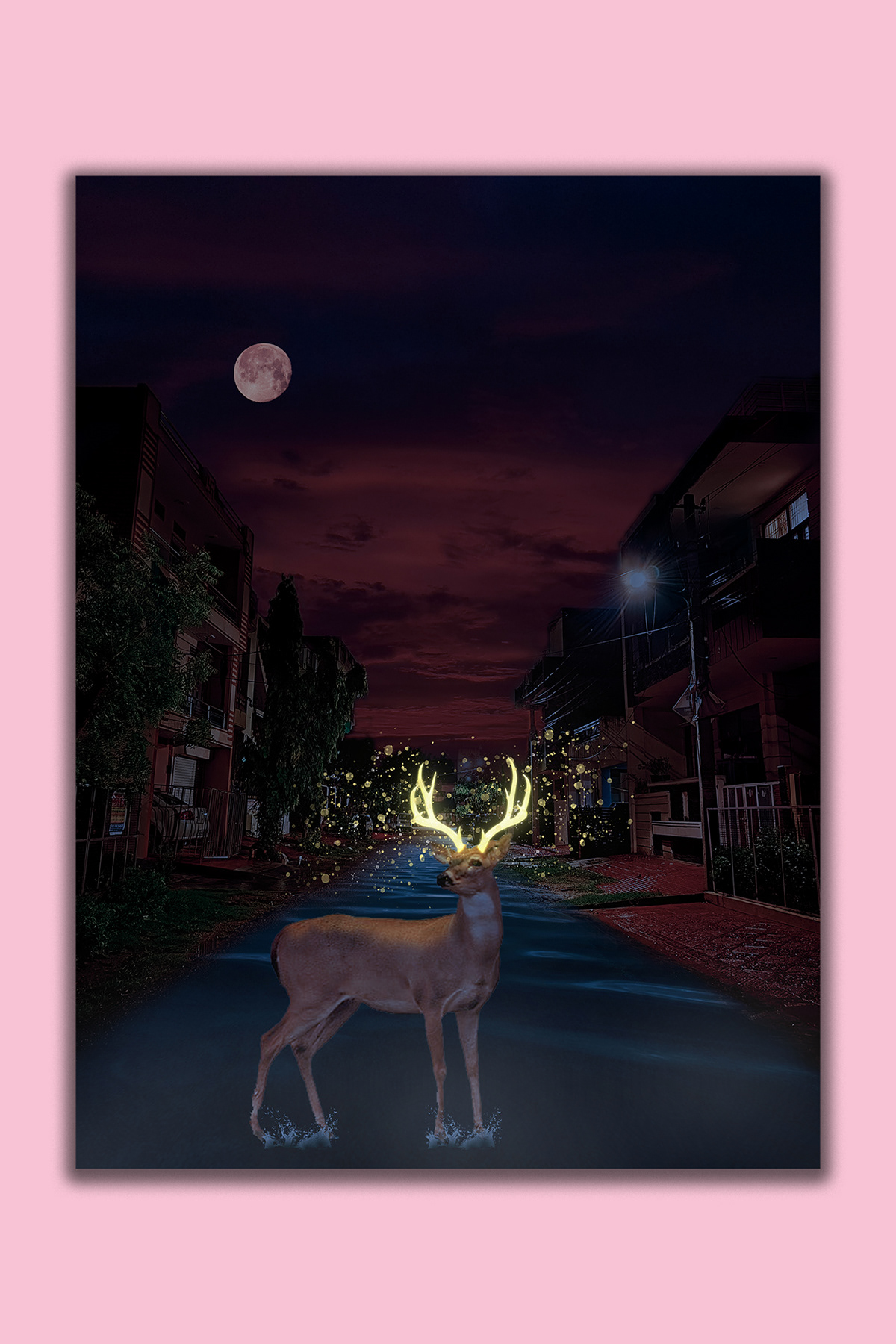 Photography  photoshop design Graphic Designer deer ILLUSTRATION  Illustrator SKY glow glow effect