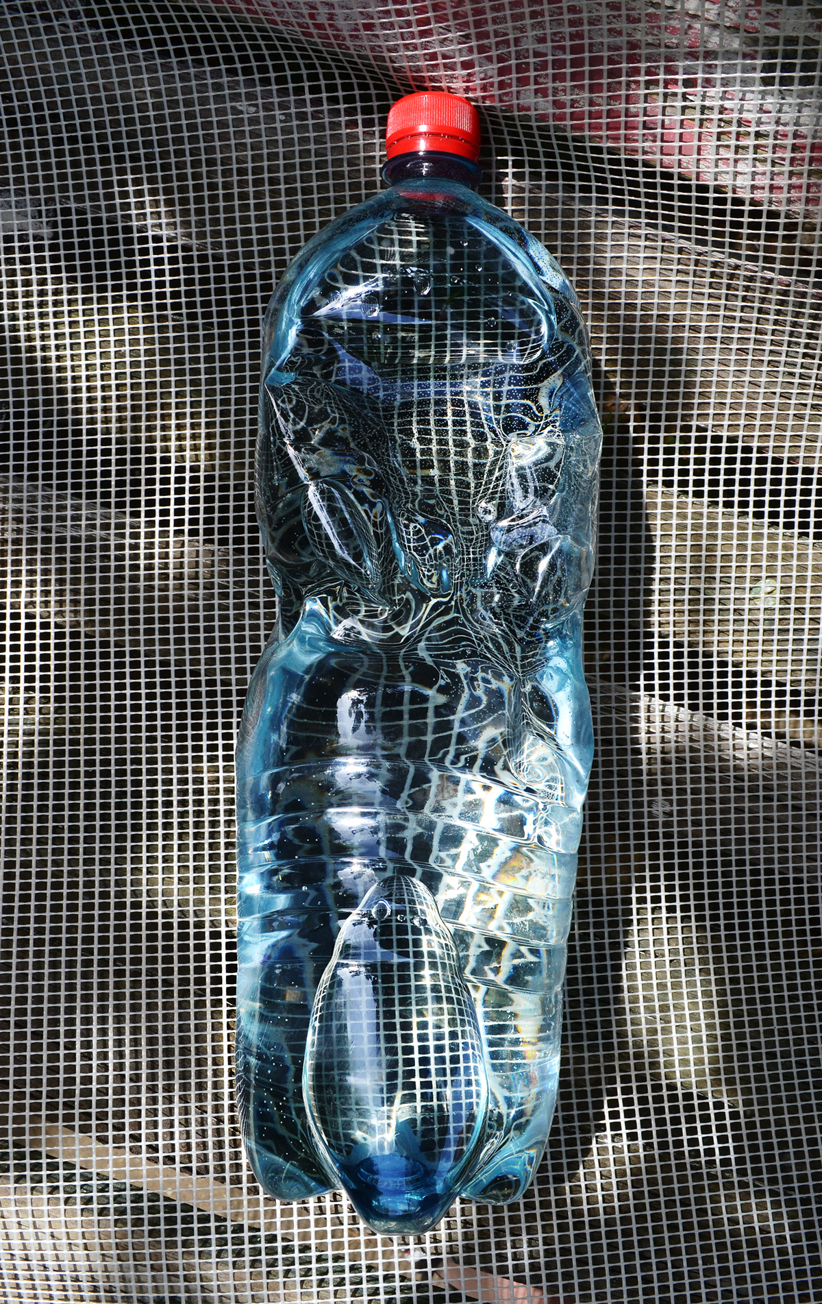 bottle Web distort distorted bottle DISTORTED