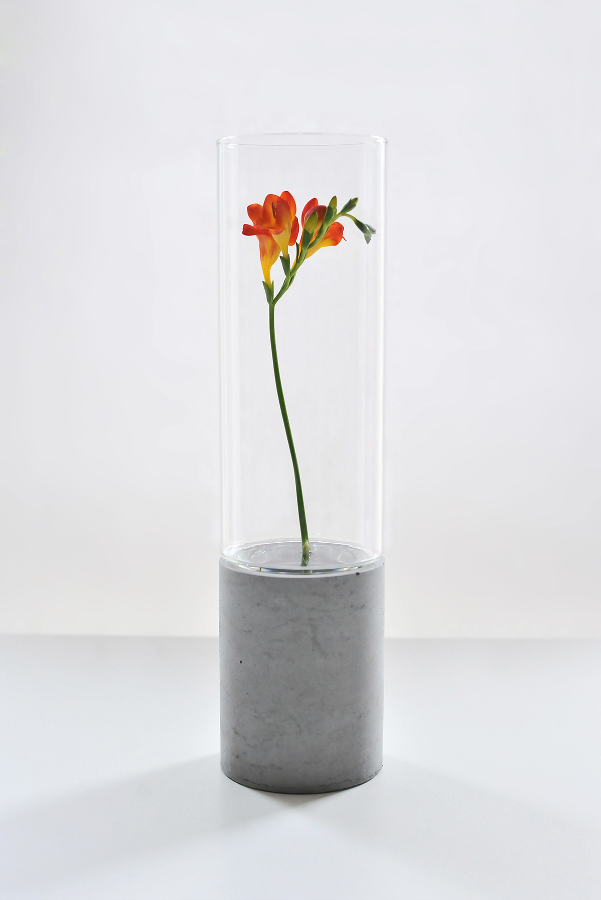 concrete Vase beton gravelli tomas vacek cement glass flower Czech