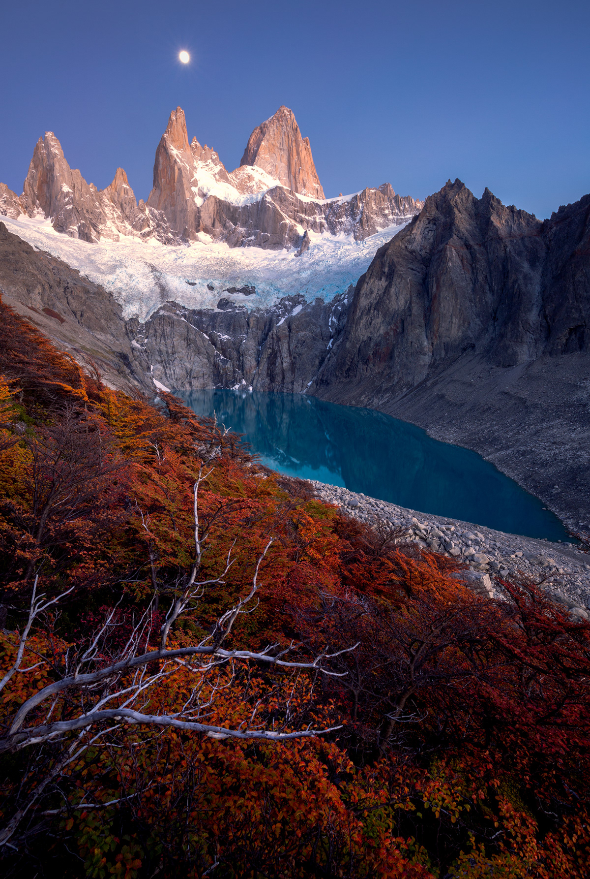 patagonia Mt. Fitz Roy Photography  Nature Landscape autumn trees mountain wilderness marco grassi