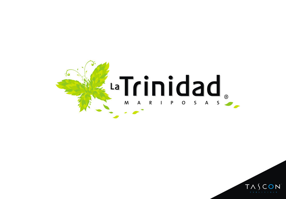logos brands tasconpublicidad theScore logotypes diseño medellin colombia