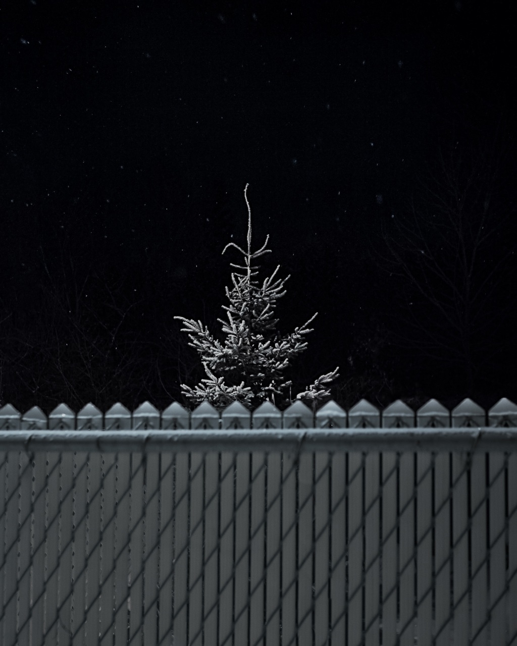 art FINEART print night mood feeling Memory Visions light surreal Real hyper-real winter snow