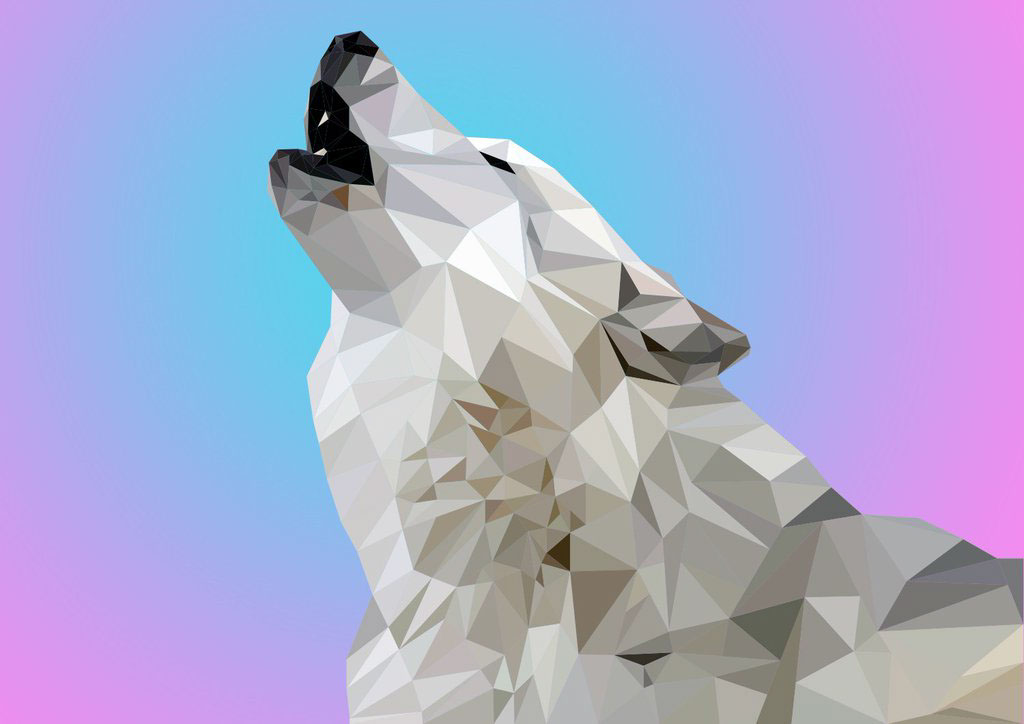 low-poly Low Poly cinema 4d after effects animation  ILLUSTRATION  LOW poly