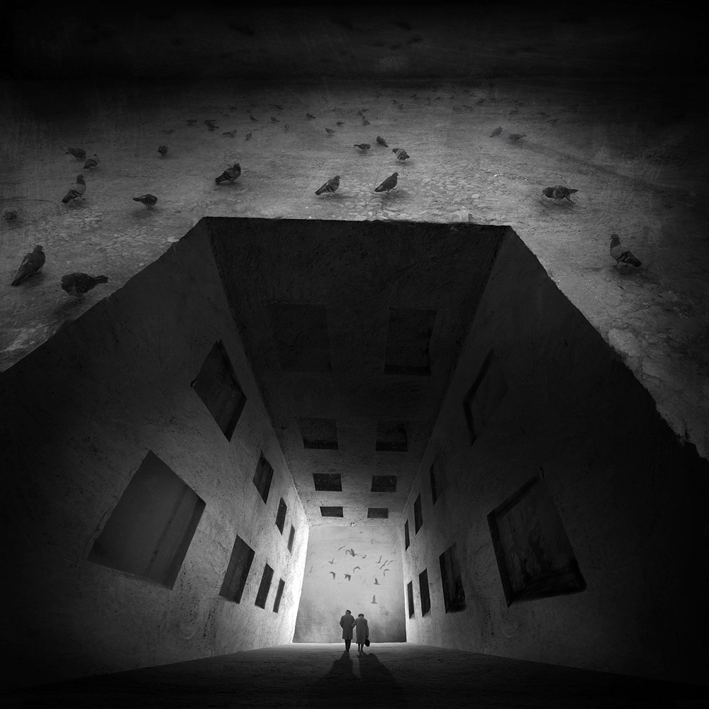 surreal conceptual black and white creations freedom