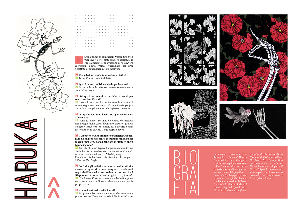 Insight magazine accademia roma grafica