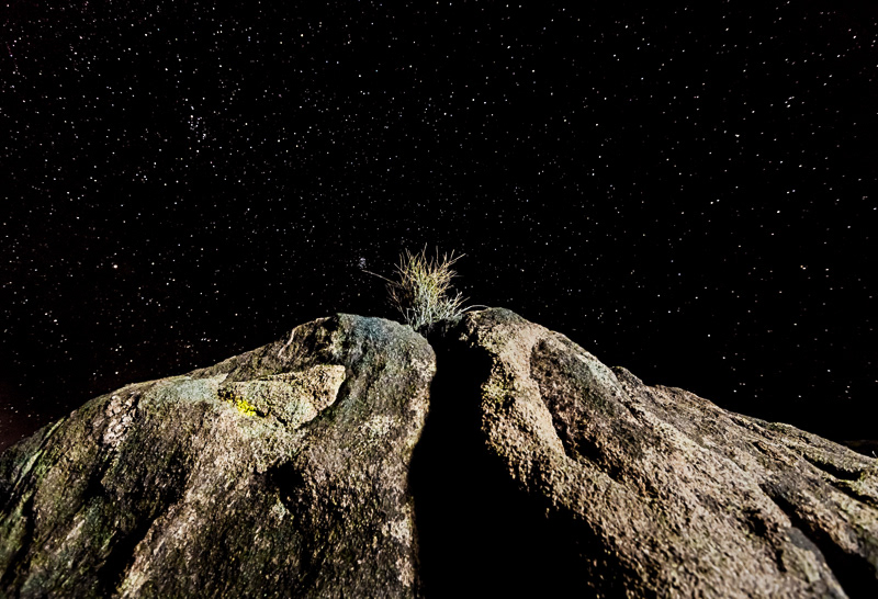 moonlight night photography Star trails desert cactus Landscape moon stars dunes joshua tree cholla lava lonliness solitude