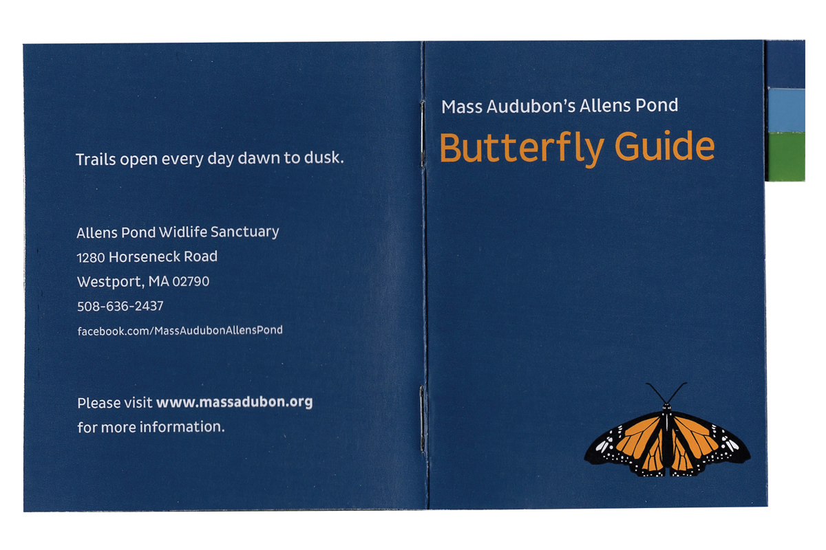 butterfly  guide wildlife sanctuary Nature animal animals butterfly guide